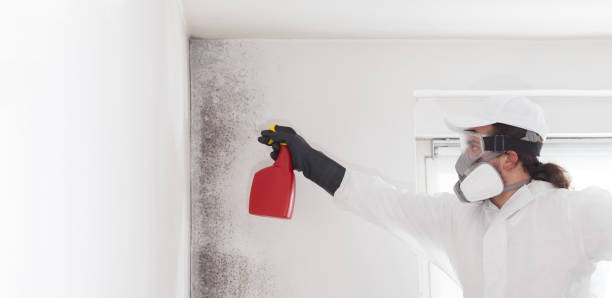 Best Crawl Space Mold Removal  in Colfax, IA