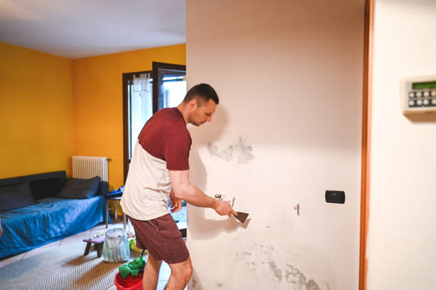Best Water Damage Restoration  in Colfax, IA