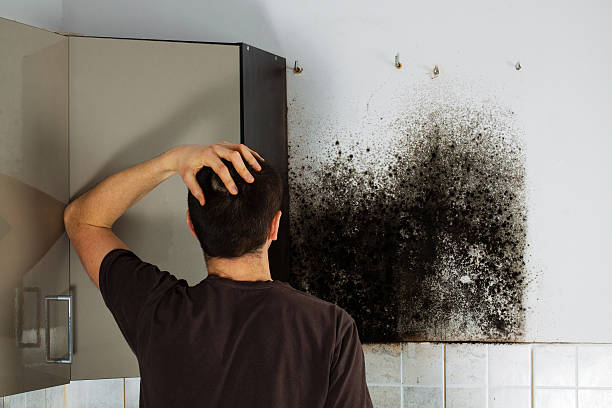 Best Mold Removal Process  in Colfax, IA